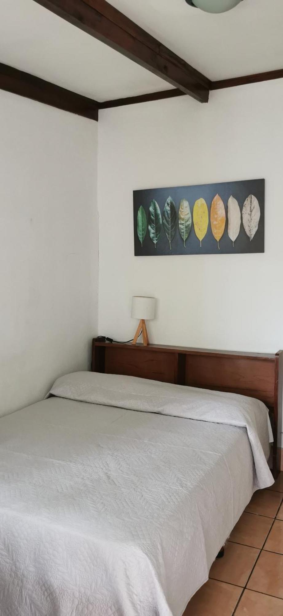 Casa Kibi Kibi Pensión