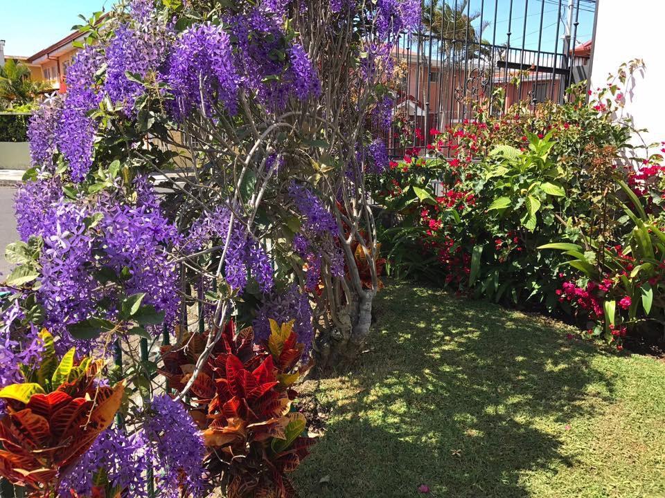 Pensión Casa Kibi Kibi